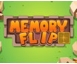 Memory Flip